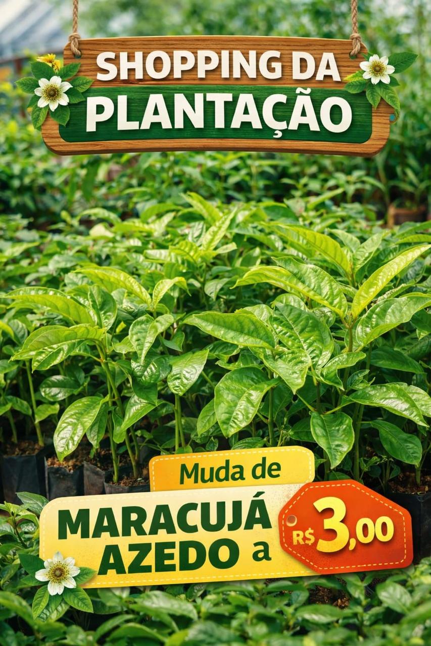 Mudas Frutíferas